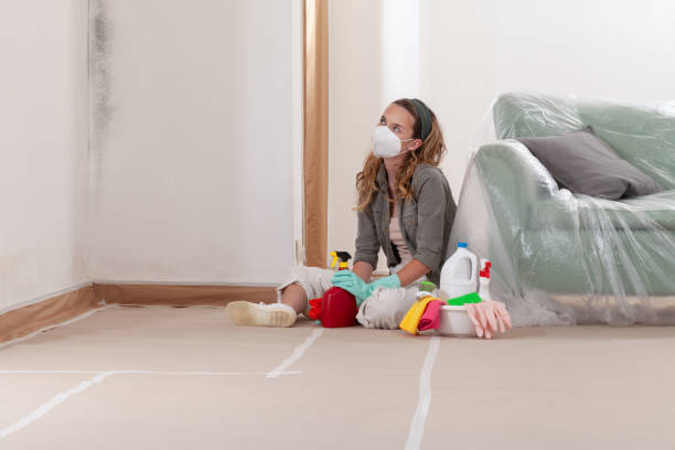 Reliable Basement Mold Removal contractor in Bedminster, NJ by Cheap Mold Removal